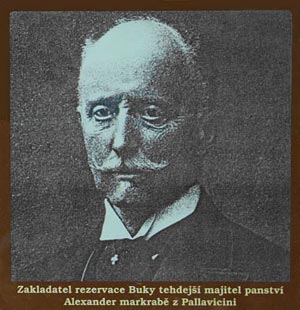 markrabě Alexander Pallavicini